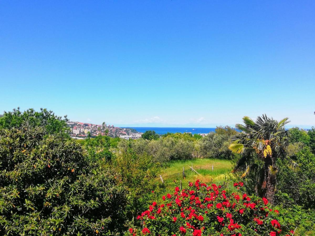 Peaceful View Apartment Koper Eksteriør billede